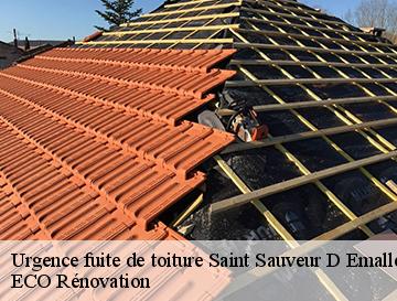 Urgence fuite de toiture  saint-sauveur-d-emalleville-76110 ECO Rénovation