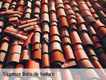 Urgence fuite de toiture  touffreville-la-corbeline-76190 ECO Rénovation