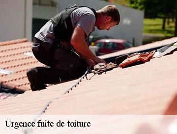 Urgence fuite de toiture  le-treport-76470 ECO Rénovation