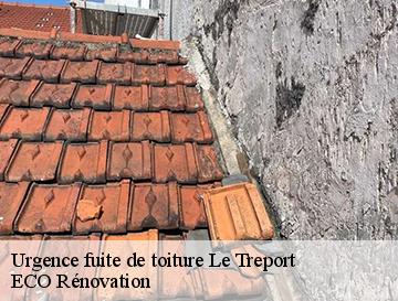 Urgence fuite de toiture  le-treport-76470 ECO Rénovation