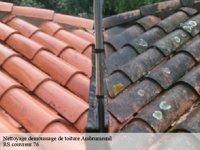 Nettoyage demoussage de toiture  ambrumesnil-76550 RS couvreur 76