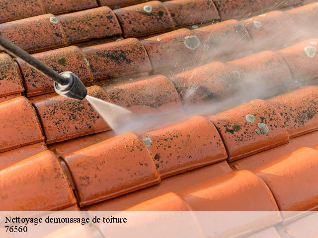 Nettoyage demoussage de toiture  amfreville-les-champs-76560 RS couvreur 76