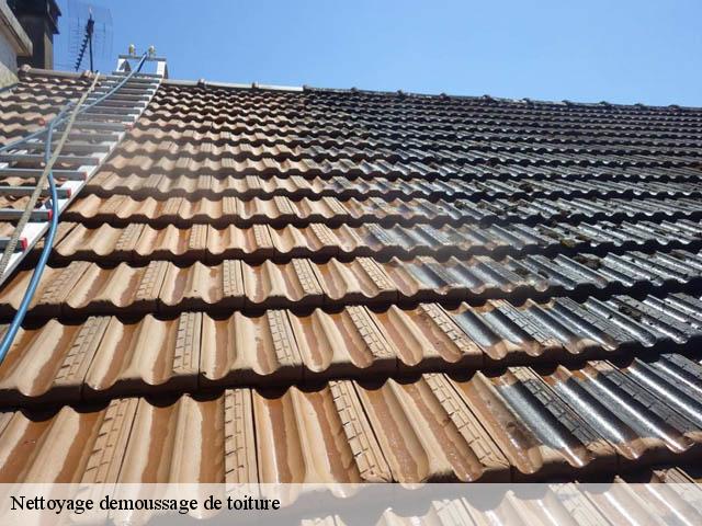 Nettoyage demoussage de toiture  angerville-bailleul-76110 RS couvreur 76