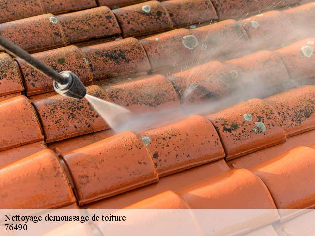 Nettoyage demoussage de toiture  anquetierville-76490 RS couvreur 76