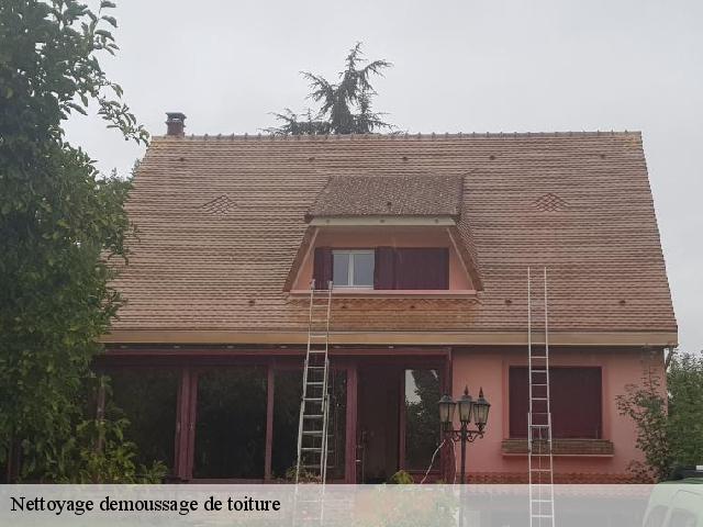 Nettoyage demoussage de toiture  aubermesnil-aux-erables-76340 RS couvreur 76
