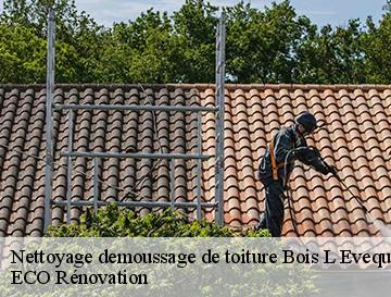 Nettoyage demoussage de toiture  bois-l-eveque-76160 ECO Rénovation