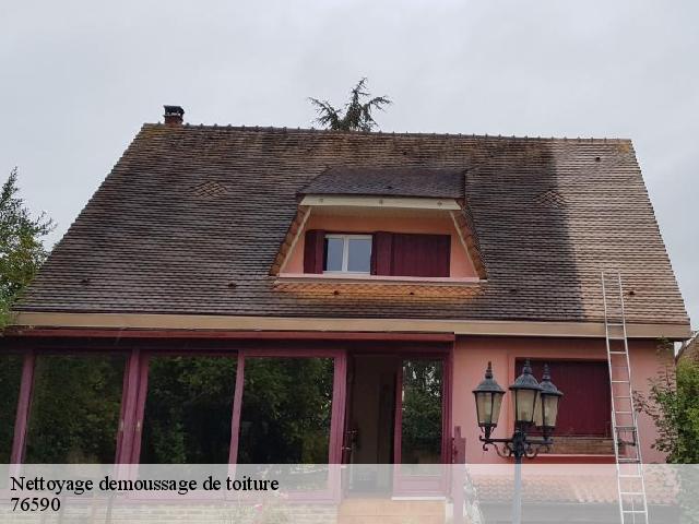 Nettoyage demoussage de toiture  le-bois-robert-76590 RS couvreur 76