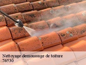 Nettoyage demoussage de toiture  la-bouille-76530 RS couvreur 76