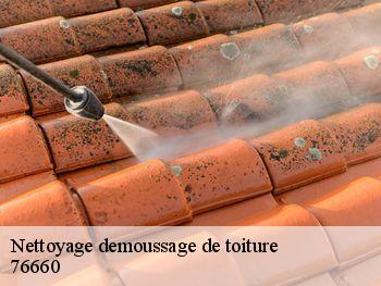 Nettoyage demoussage de toiture  bures-en-bray-76660 RS couvreur 76