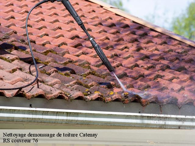 Nettoyage demoussage de toiture  catenay-76116 RS couvreur 76