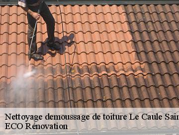 Nettoyage demoussage de toiture  le-caule-sainte-beuve-76390 ECO Rénovation