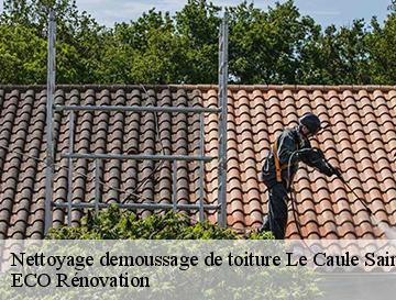 Nettoyage demoussage de toiture  le-caule-sainte-beuve-76390 ECO Rénovation