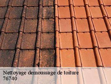 Nettoyage demoussage de toiture  la-chapelle-sur-dun-76740 ECO Rénovation