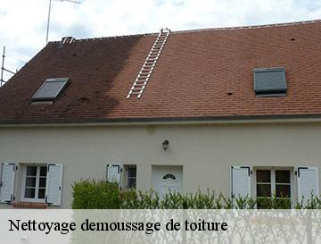 Nettoyage demoussage de toiture  la-chapelle-sur-dun-76740 ECO Rénovation