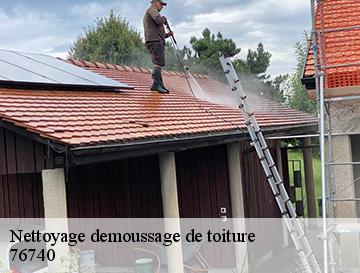 Nettoyage demoussage de toiture  la-chapelle-sur-dun-76740 ECO Rénovation