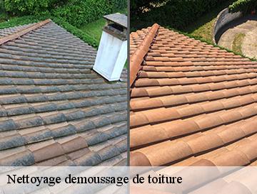 Nettoyage demoussage de toiture  la-chapelle-sur-dun-76740 ECO Rénovation