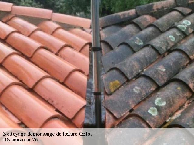 Nettoyage demoussage de toiture  critot-76680 RS couvreur 76