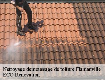 Nettoyage demoussage de toiture  flamanville-76970 ECO Rénovation