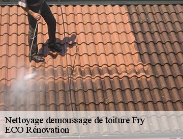 Nettoyage demoussage de toiture  fry-76780 ECO Rénovation