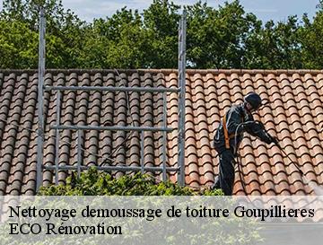 Nettoyage demoussage de toiture  goupillieres-76570 ECO Rénovation