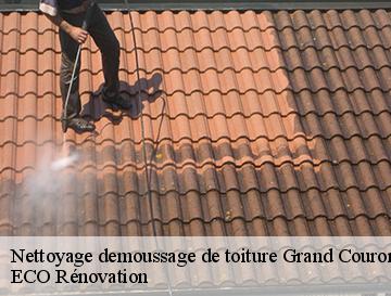 Nettoyage demoussage de toiture  grand-couronne-76530 ECO Rénovation