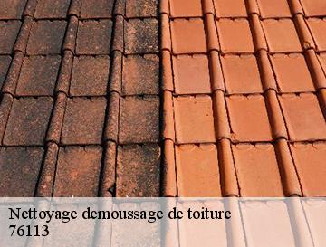 Nettoyage demoussage de toiture  hautot-sur-seine-76113 ECO Rénovation