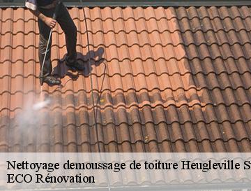 Nettoyage demoussage de toiture  heugleville-sur-scie-76720 ECO Rénovation