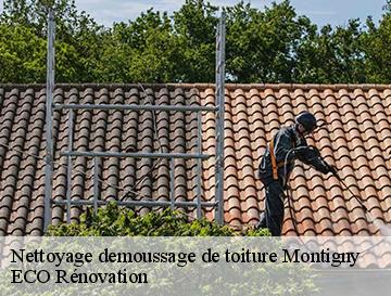 Nettoyage demoussage de toiture  montigny-76380 ECO Rénovation