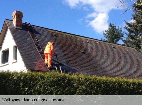 Nettoyage demoussage de toiture  franqueville-saint-pierre-76520 RS couvreur 76
