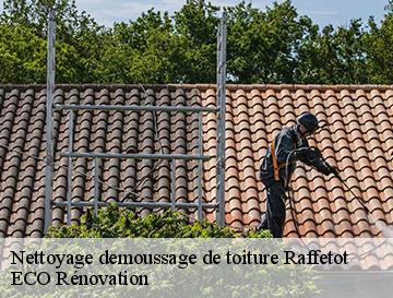 Nettoyage demoussage de toiture  raffetot-76210 ECO Rénovation