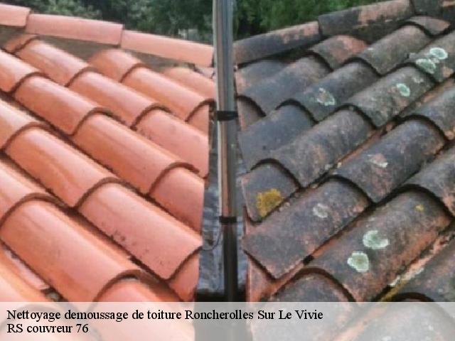 Nettoyage demoussage de toiture  roncherolles-sur-le-vivie-76160 RS couvreur 76