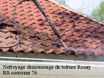 Nettoyage demoussage de toiture  rosay-76680 RS couvreur 76