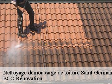 Nettoyage demoussage de toiture  saint-germain-des-essourts-76750 ECO Rénovation