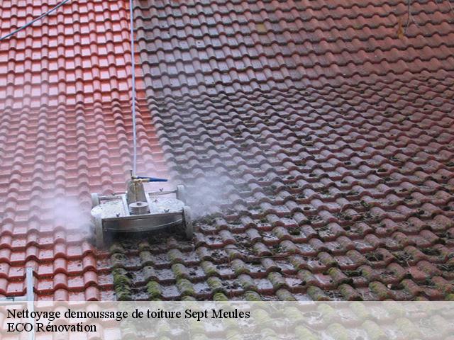 Nettoyage demoussage de toiture sept-meules-76260 Entreprise WP