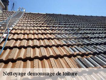 Nettoyage demoussage de toiture  tourville-les-ifs-76400 RS couvreur 76
