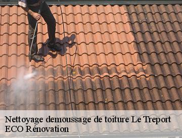 Nettoyage demoussage de toiture  le-treport-76470 ECO Rénovation