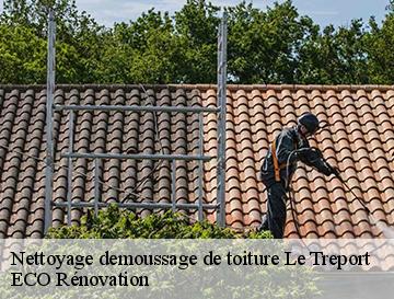 Nettoyage demoussage de toiture  le-treport-76470 ECO Rénovation