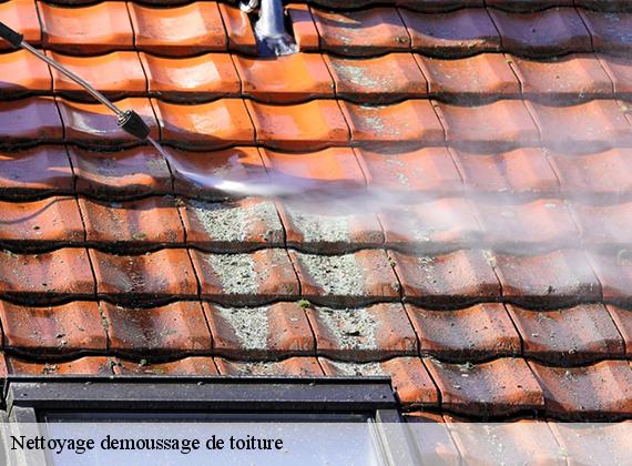 Nettoyage demoussage de toiture  vibeuf-76760 ECO Rénovation