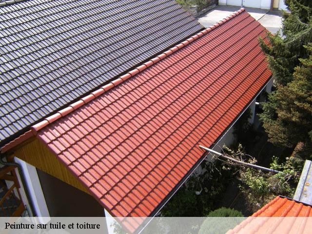 Peinture sur tuile et toiture  amfreville-les-champs-76560 RS couvreur 76