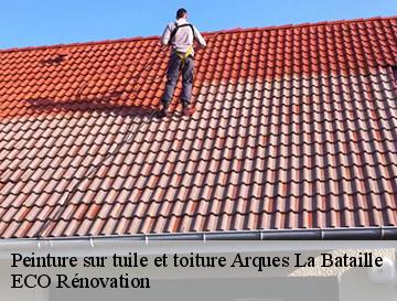 Peinture sur tuile et toiture  arques-la-bataille-76880 ECO Rénovation
