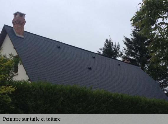 Peinture sur tuile et toiture  auberville-la-campagne-76170 RS couvreur 76