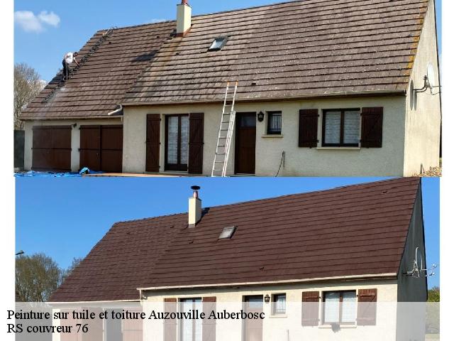 Peinture sur tuile et toiture  auzouville-auberbosc-76640 RS couvreur 76