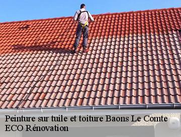 Peinture sur tuile et toiture  baons-le-comte-76190 ECO Rénovation