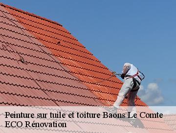 Peinture sur tuile et toiture  baons-le-comte-76190 ECO Rénovation