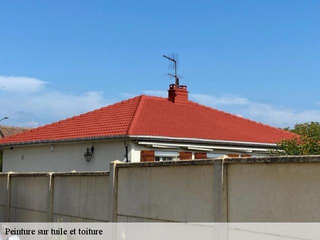 Peinture sur tuile et toiture  beaubec-la-rosiere-76440 RS couvreur 76