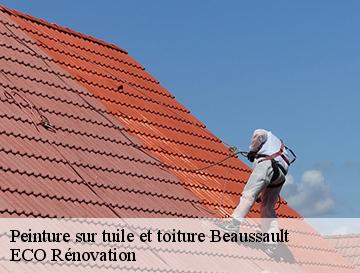 Peinture sur tuile et toiture  beaussault-76870 ECO Rénovation