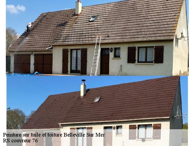 Peinture sur tuile et toiture  belleville-sur-mer-76370 RS couvreur 76