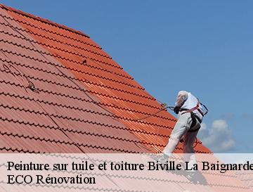 Peinture sur tuile et toiture  biville-la-baignarde-76890 ECO Rénovation