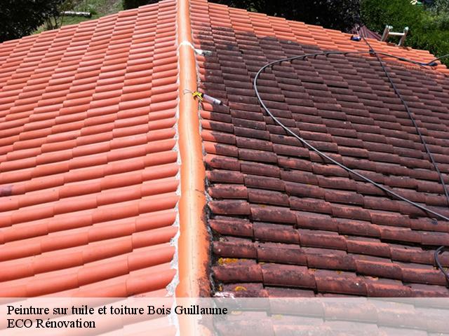Peinture sur tuile et toiture bois-guillaume-76230 Entreprise WP