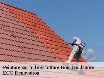 Peinture sur tuile et toiture  bois-guillaume-76230 ECO Rénovation